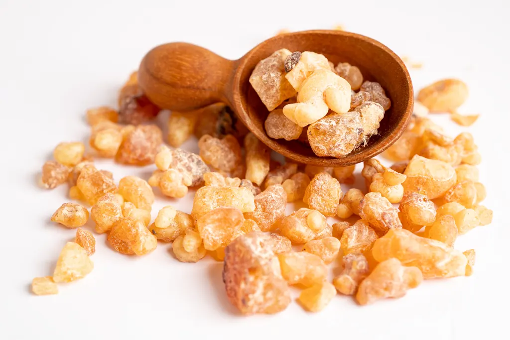 Wirkstoffwissen Teil 2: Boswellia Serrata